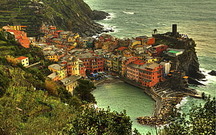 multicolored buildings beside cliff over ocean photo